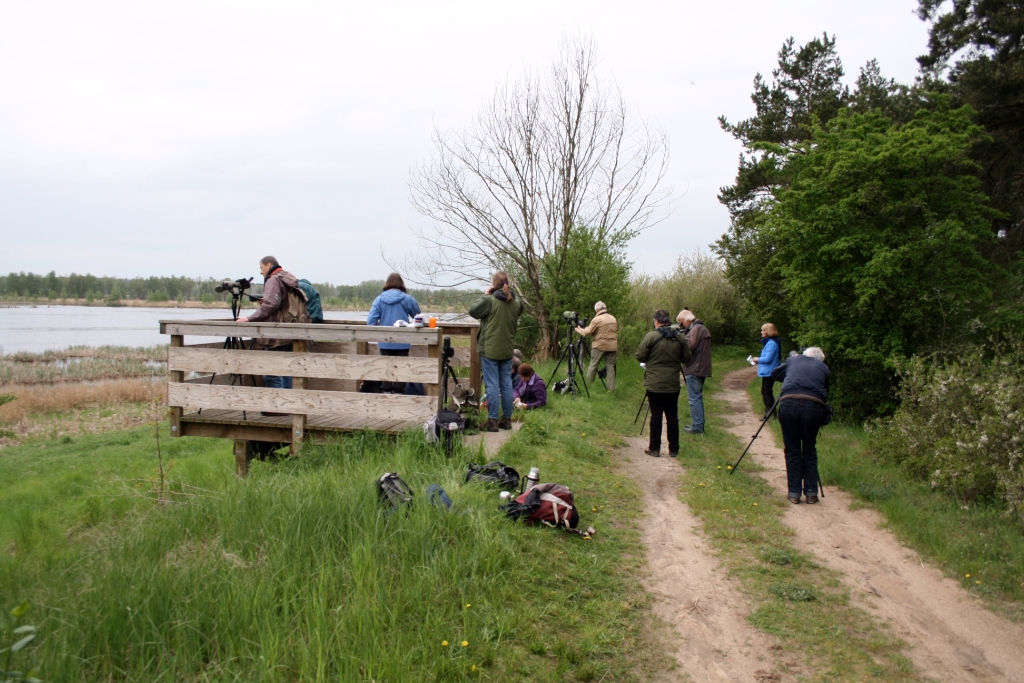 VWG vogelreis Oost Duitsland mei 2010 464